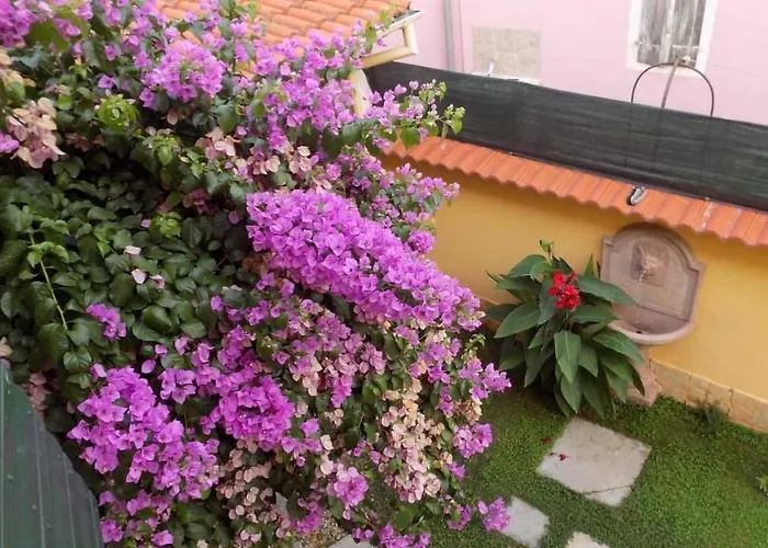 House Justina Vila *