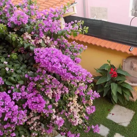 House Justina Villa *